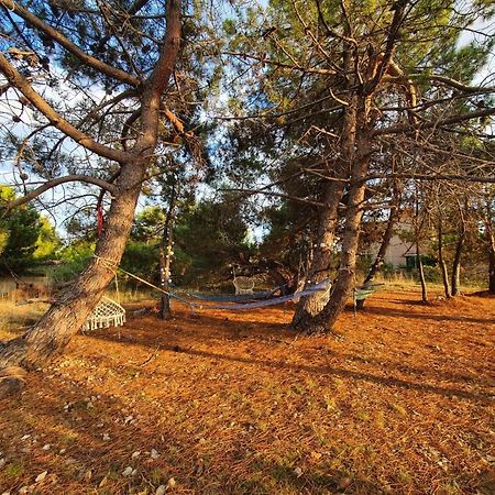 Apartmani Bellevue วีร์ ภายนอก รูปภาพ